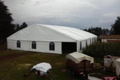 carpas-gigantes-00044