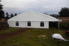 carpas-gigantes-00045