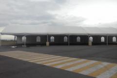 carpas-gigantes-00084