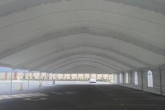carpas-gigantes-00087