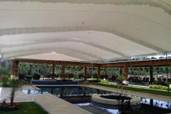 carpas-gigantes-02868