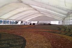 carpas-gigantes-toluca-00482