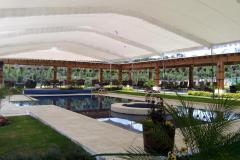carpas-gigantes-toluca-02867