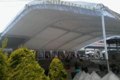 carpas-gigantes