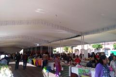 renta-de-carpas-toluca-02600